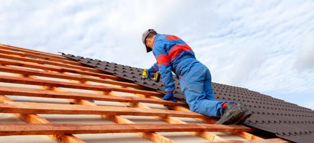 Best Roof Maintenance and Cleaning  in Burbank, WA